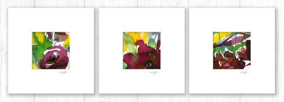 Florals Collection 11