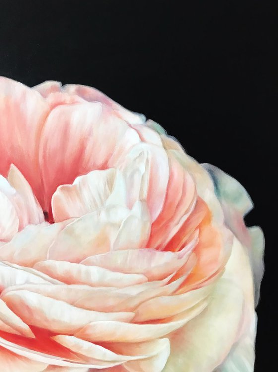 Large square painting with ranunculus 90*90 cm by Ivlieva Irina