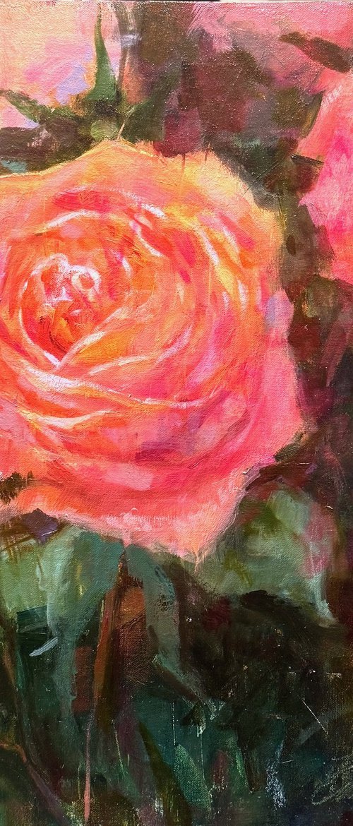 December Roses by Emily Lane
