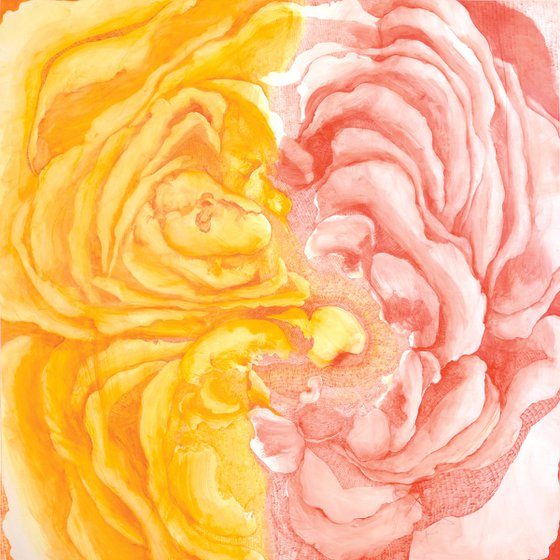 Meditation on a Rose