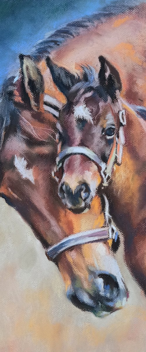 A small horse by Magdalena Palega