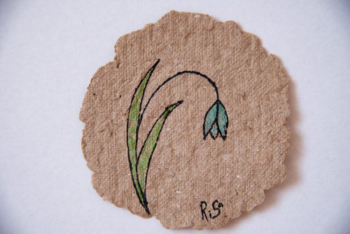 Snowdrop drawing on the author's craft paper by Rimma Savina