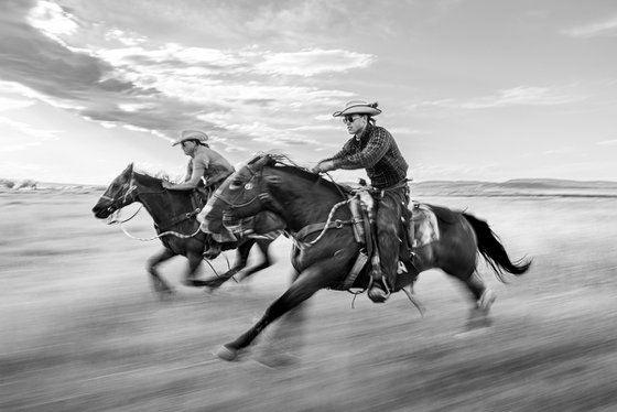 Cowboys