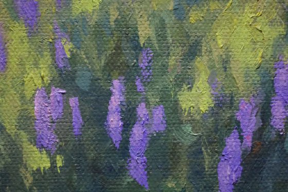 Spring with Lupines