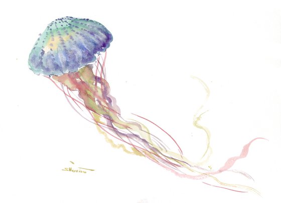 Jellyfish