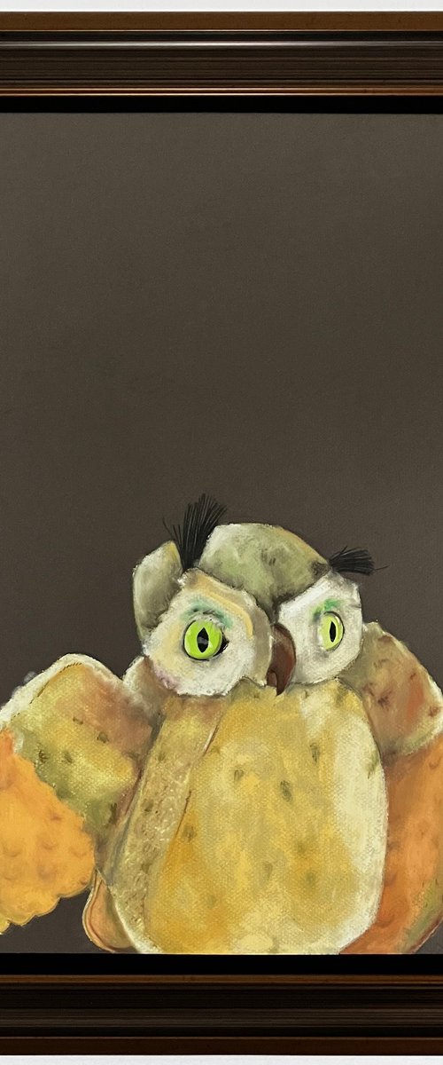 Night Owl by Kristine Facchetti