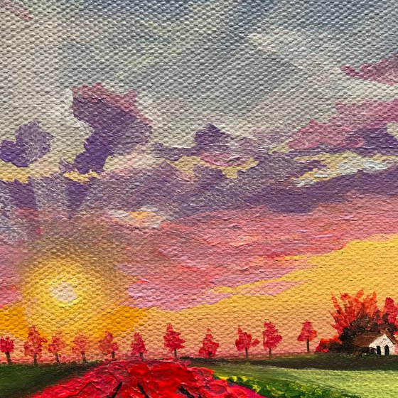 Sunset at tulip fields ! Small Painting!!  Ready to hang