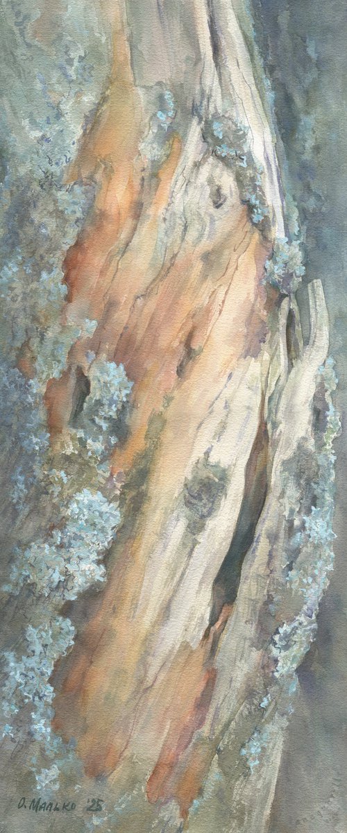 Old plum tree trunk by Olha Malko