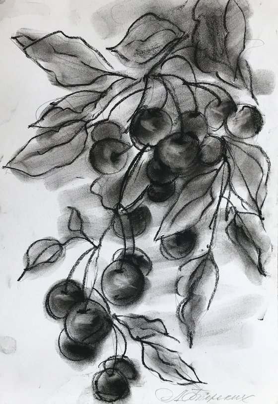 'Сerasus' (Cherry tree)