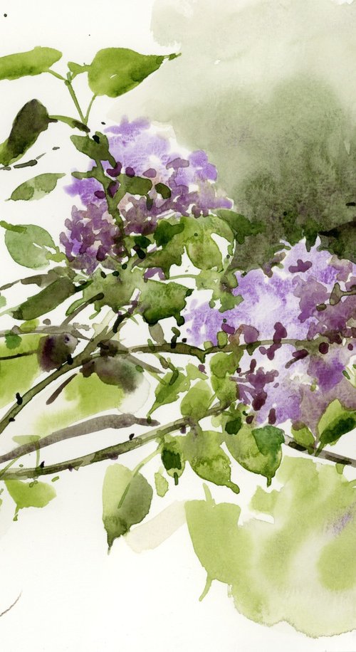 A branch of blooming lilac from the slopes of the Loire. by Tatyana Tokareva