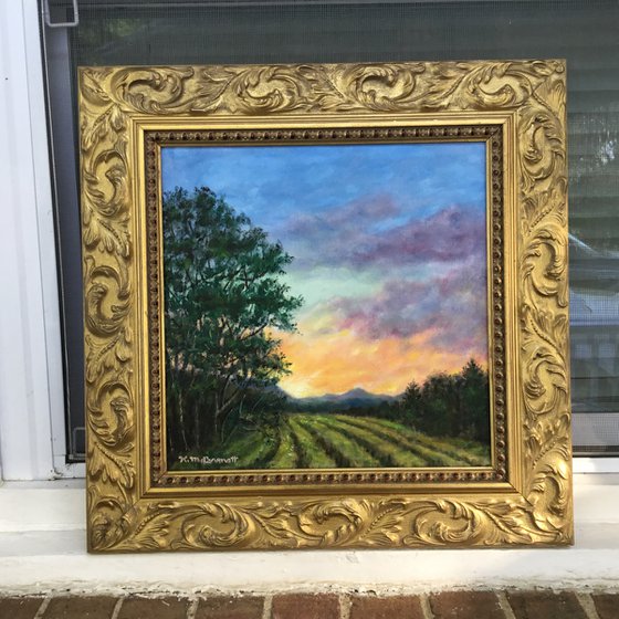 EAST FIELD SUNRISE - oil 12X12 (SOLD)