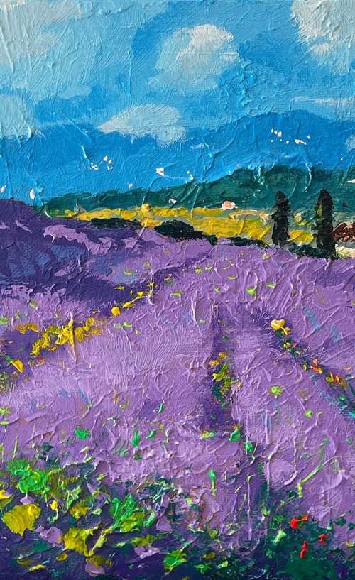 Tuscan Lavender Field by Agostino Veroni