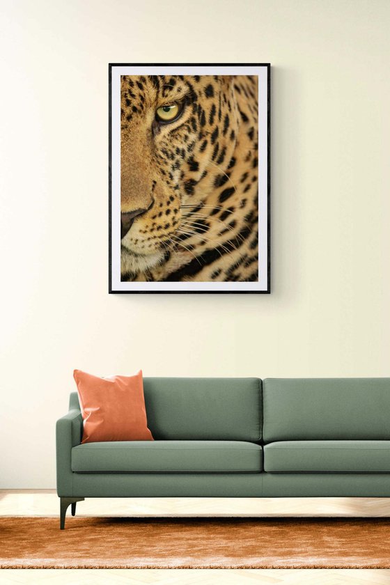 "Is this close enough...?"