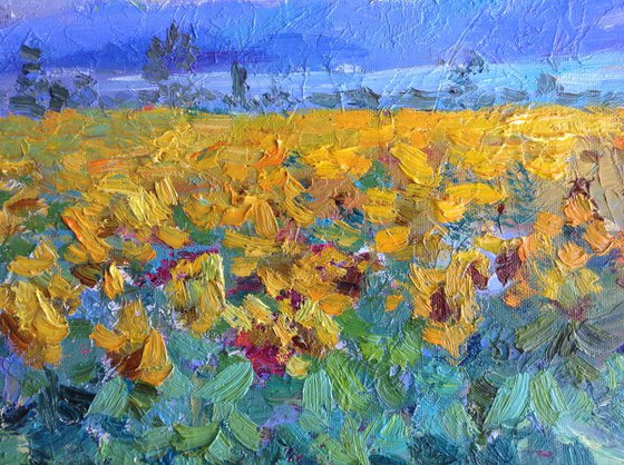 Evening sunflower field .  original oil painting modern