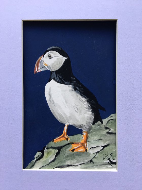 Clifftop Puffin