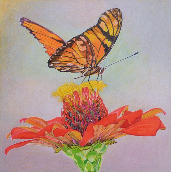 Spring Joy