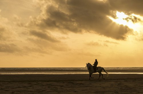 RIDER IN SILHOUETTE by Andrew Lever