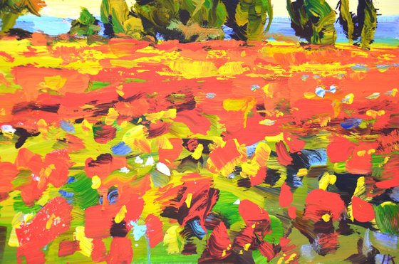 Summer. Poppy field 20.