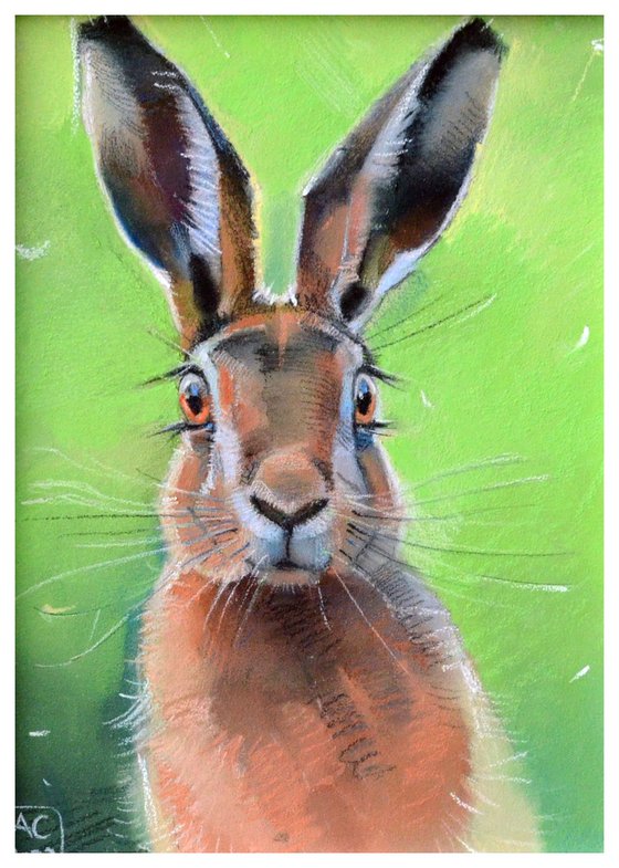 Portrait of a hare on a green background
