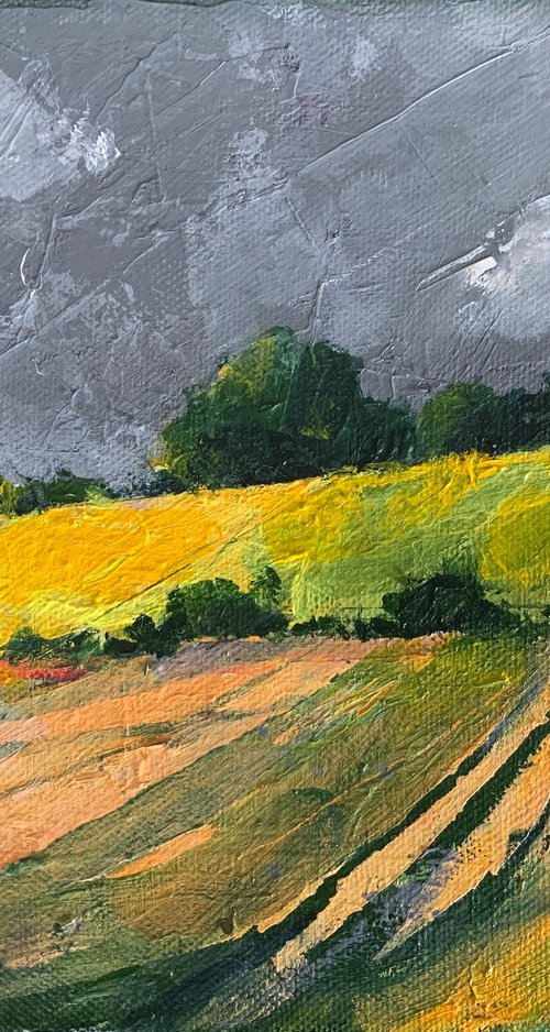 Summer Storm by Paul West