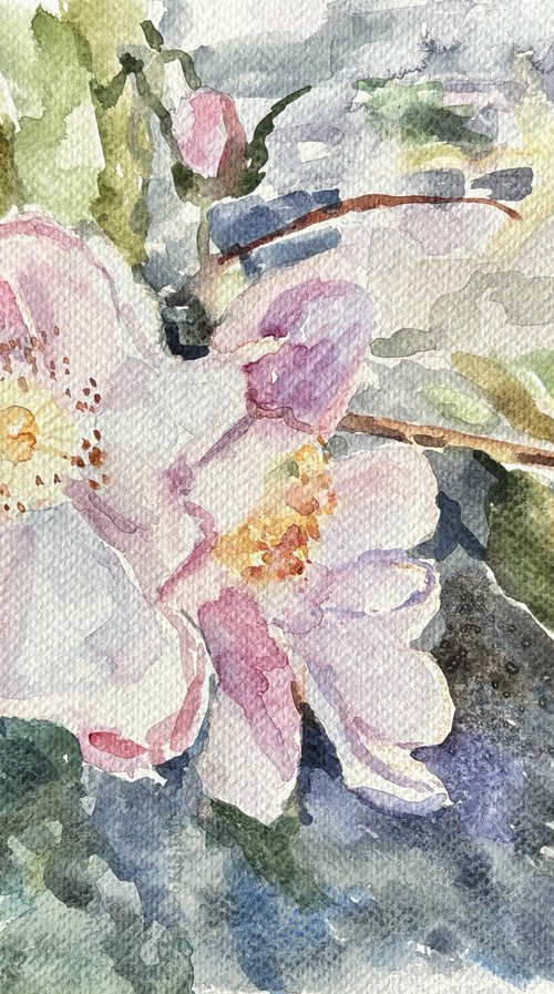 Aquarelle petals by Elena Lykhodid