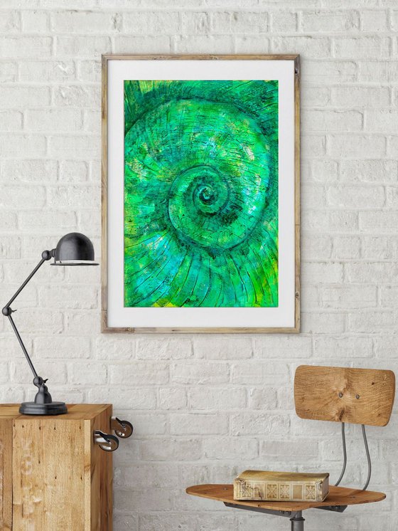 Ammonite (textured artwork of a fossil ammonites) #7