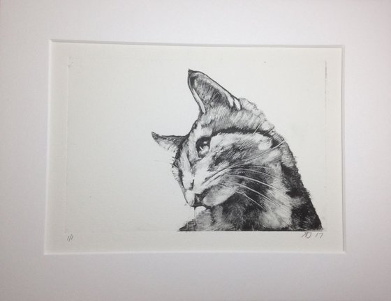 Tigger, Cat Monotype, One of a Kind Printmaking