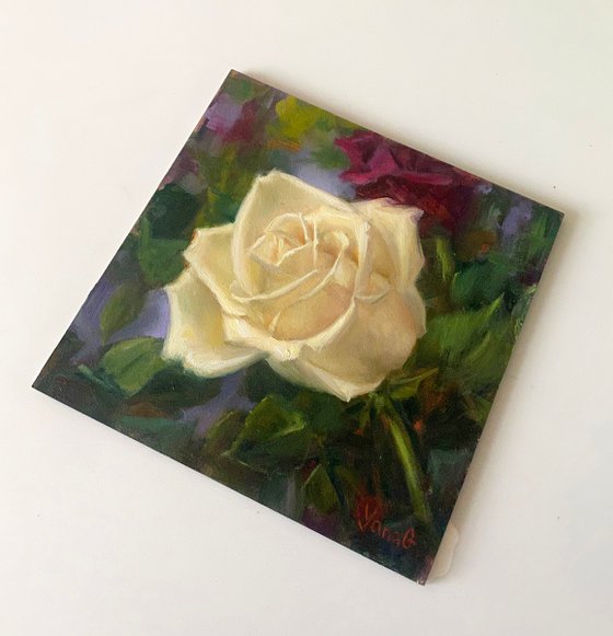 Cream Rose Original Oil Painting