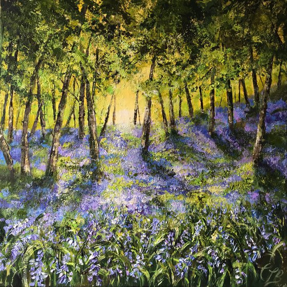 Bluebells no2