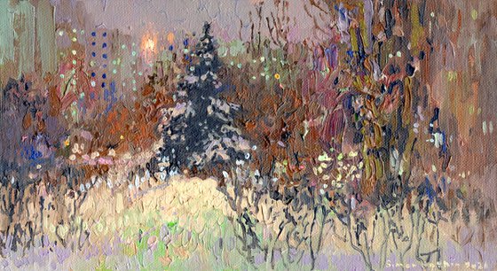 A spruce on a winter boulevard at night