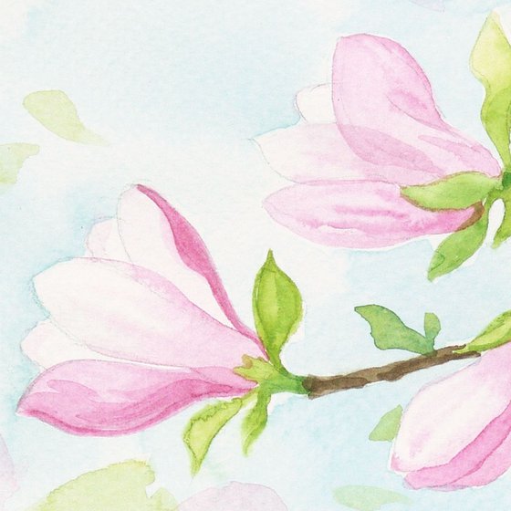 Spring magnolia * free shipping *