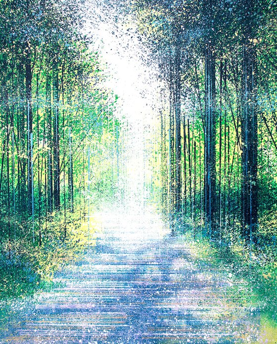 Light In A Summer Forest