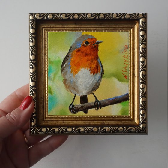 Robin