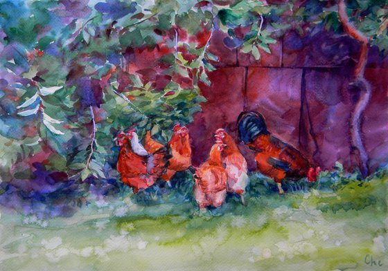 Chickens under the cherri-tree