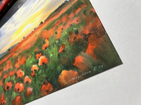 Poppy field at sunset