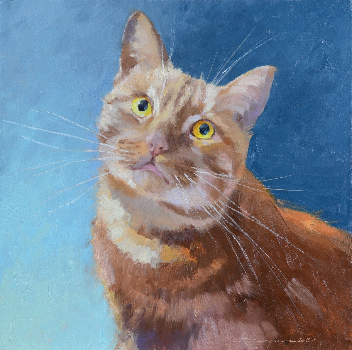 Attentive cat by Ruslan Kiprych