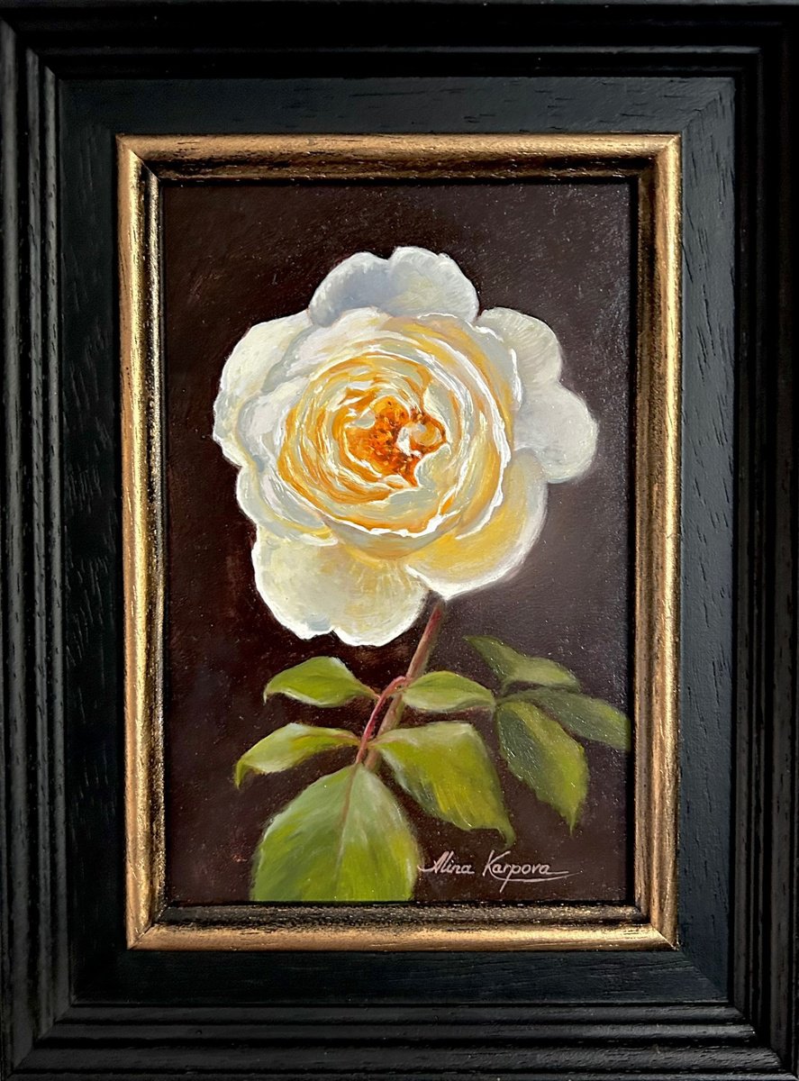Photorealistic Botanical Oil Painting By Alina Karpova, 6 X 8, White Rose, Original Artwork
