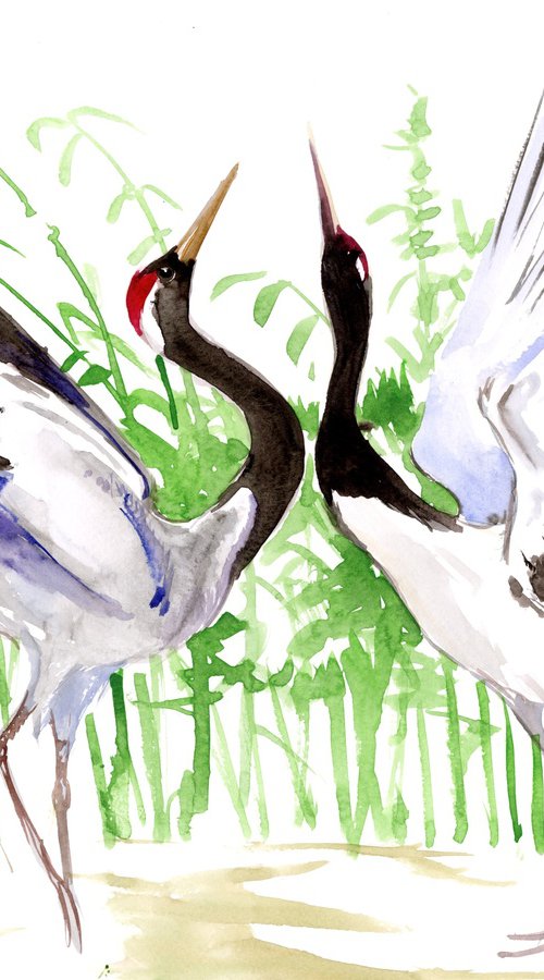 Japanese Crane Birds watercolor artwork, Dancing Cranes by Suren Nersisyan