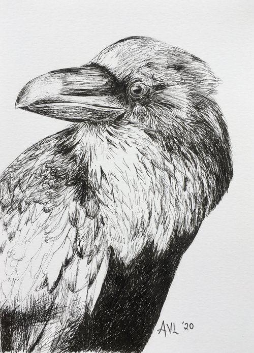 Raven 2 by Abigail Long