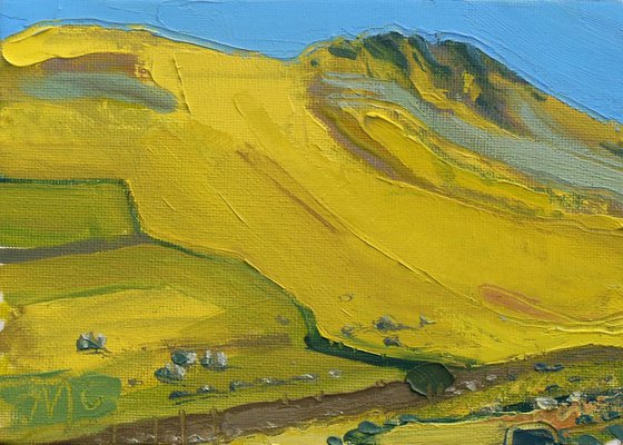 Yellow Hillside at Hartsop Dodd I