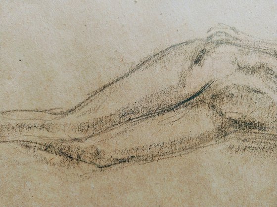 Nude. Sketch. Original pencil drawing on beige paper