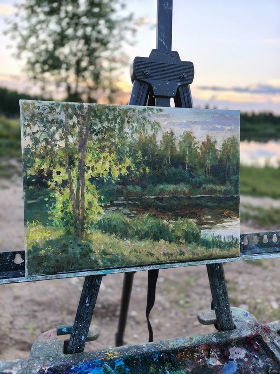 Evening light