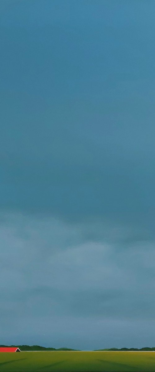 Red roofs, green fields by Nelly van Nieuwenhuijzen