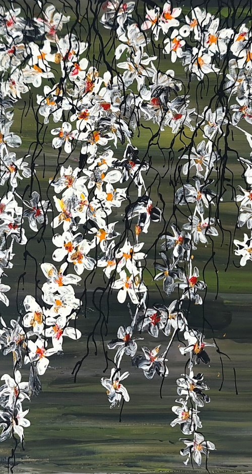 White Cherries 1 by Daniel Urbaník