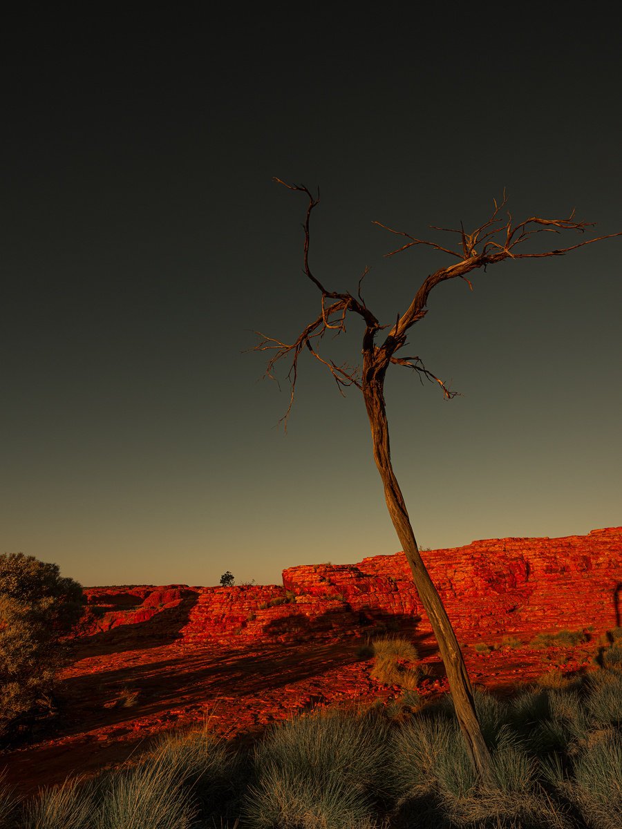 Photorealistic Landscape Photograph By Nick Psomiadis, 35 X 47", Watarrka Boollar Wunggurra, Original Artwork