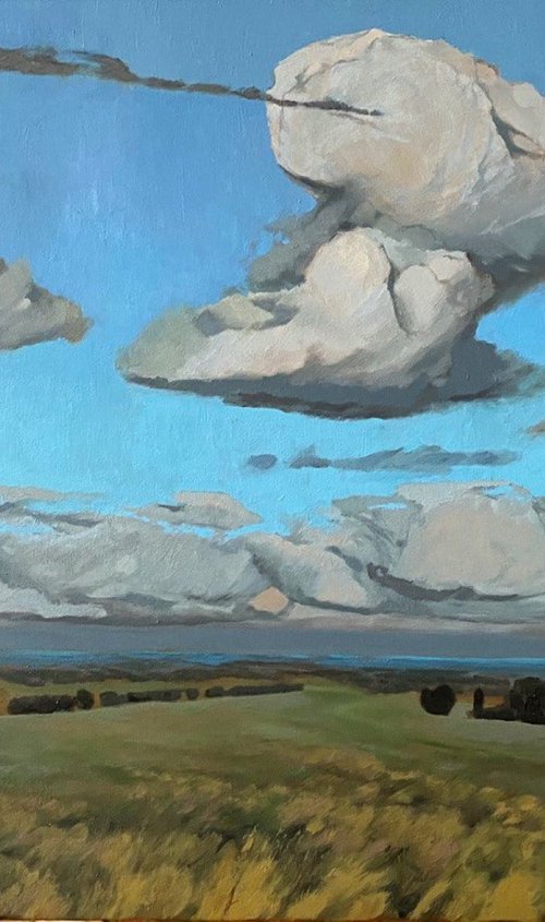 Summer clouds (commission artwork) by Bohdan Vykhrenko