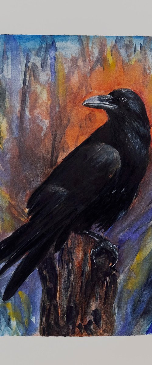 Bird. The Raven. by Anastasia Woron