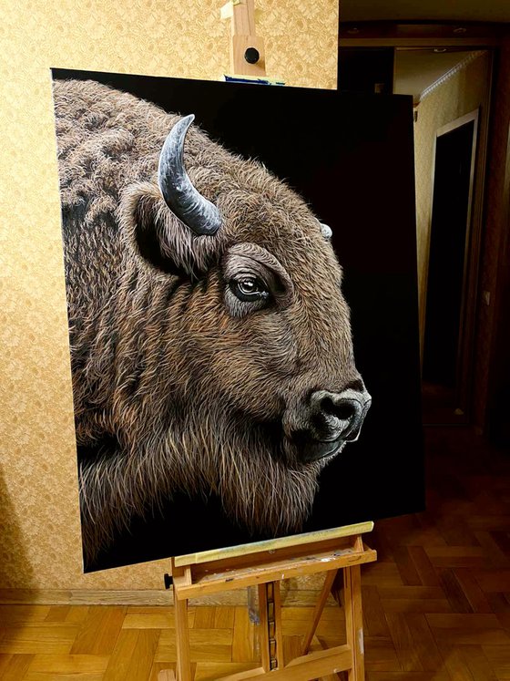 Bizon Portrait