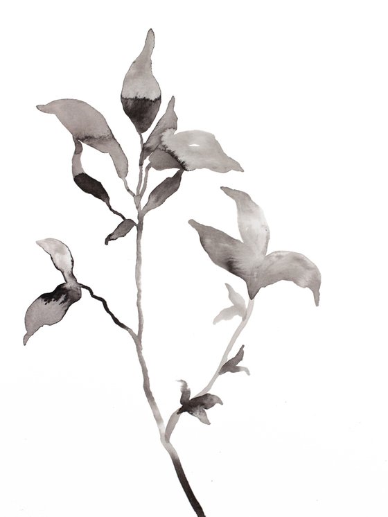 Plant Study No. 106