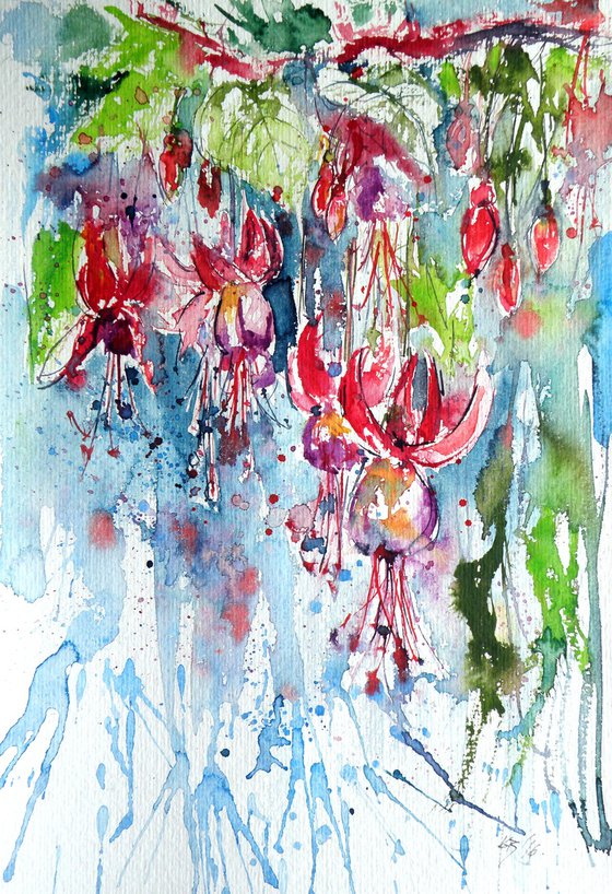 Fuchsia